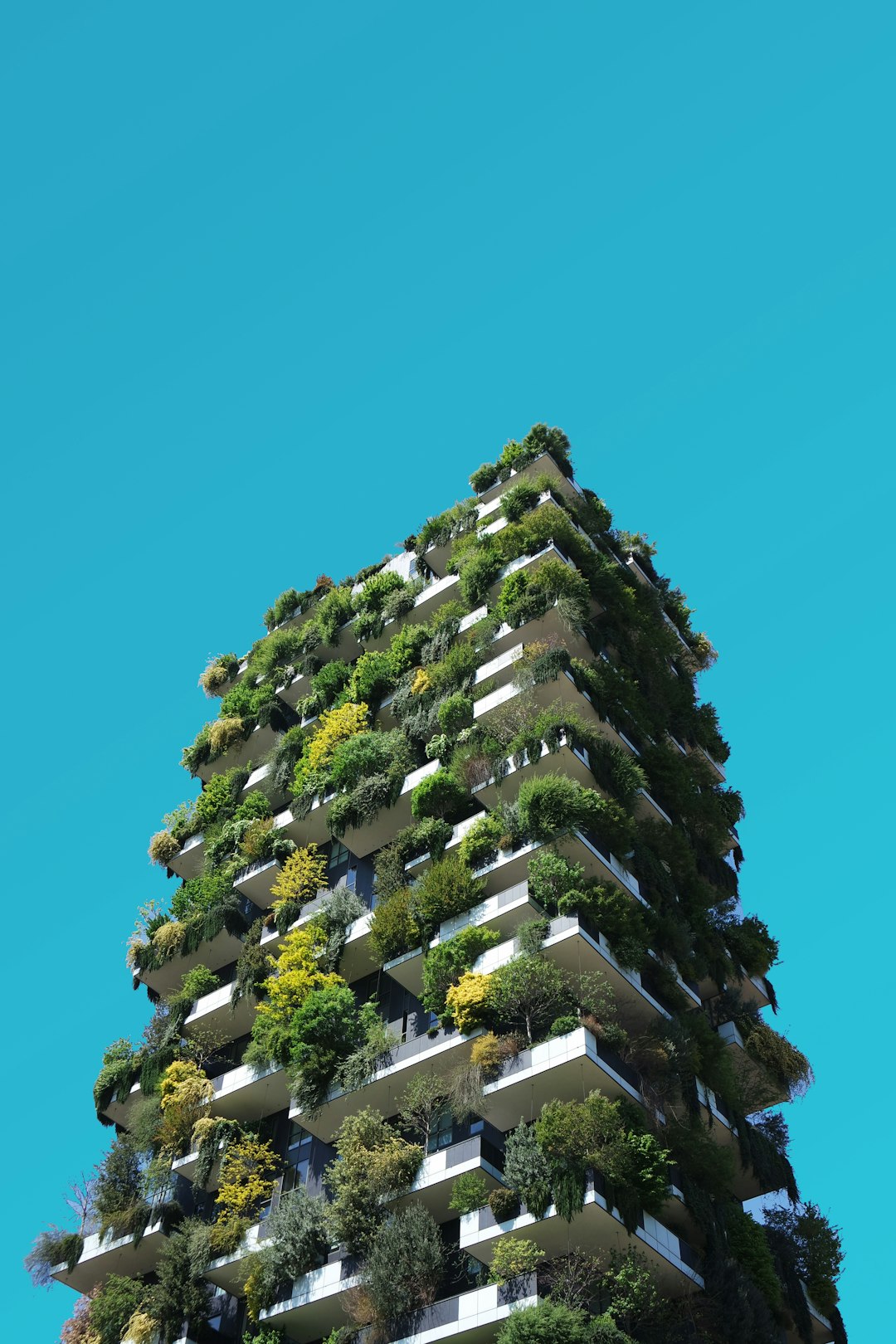 Eco-Friendly Home