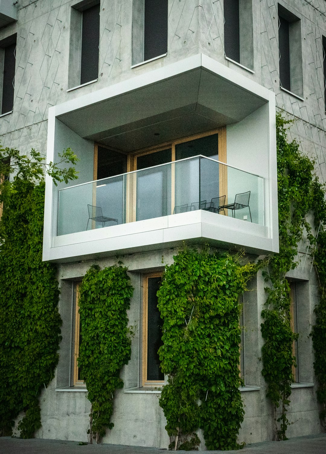 Luxury Modern Home